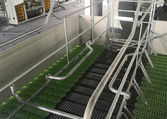 qualidade  Fabricated Prefab Steel Structure Pig House Galvanised Industrial fábrica