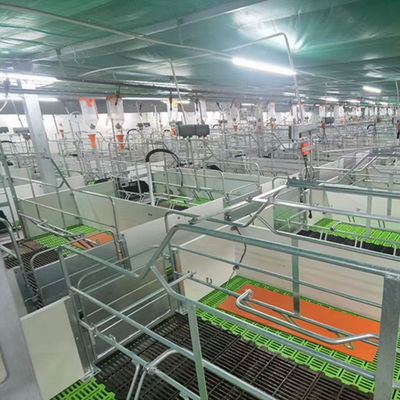 A casa de porco de pouco peso da construção de aço galvanizou construções agrícolas da casa pré-fabricada