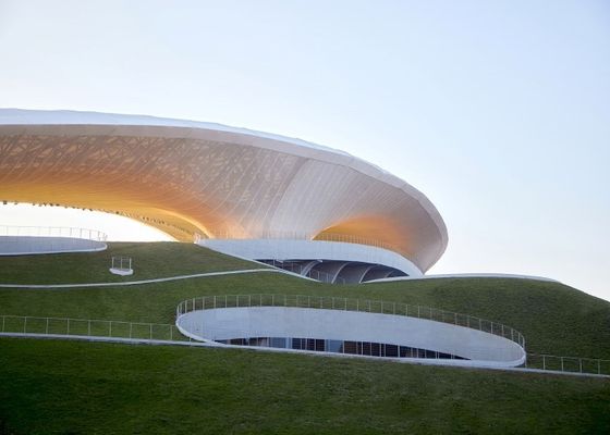 Ginásio personalizado das construções do metal da casa pré-fabricada do estádio Q355 da construção de aço