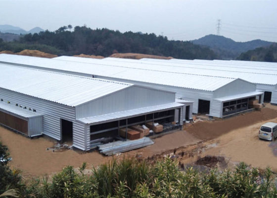 Capoeira de galinha Windproof galvanizada da armação de aço da exploração agrícola da construção de aço