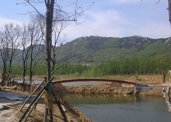 A construção de ponte da construção de aço de Q355B galvanizou pré-fabricado