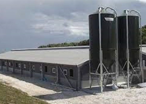 Da construção portal de aço da estrutura do quadro da casa pré-fabricada casa de porco Windproof
