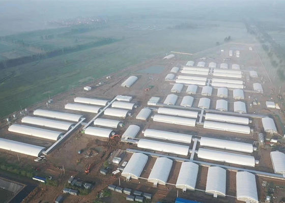 Q355 / A casa de porco da construção de aço Q235 torna construções de aço industriais