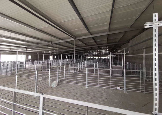 Q355 / A casa de porco da construção de aço Q235 torna construções de aço industriais