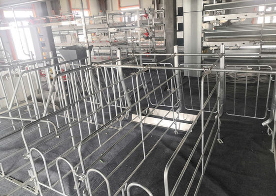 A casa de porco fabricada da construção de aço da casa pré-fabricada galvanizou industrial