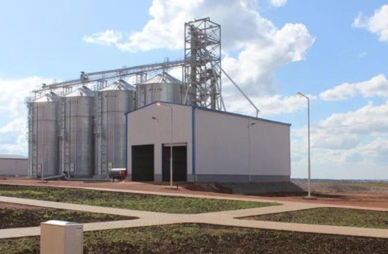 Armazém de armazenamento pre projetado da grão da construção de aço da construção de aço