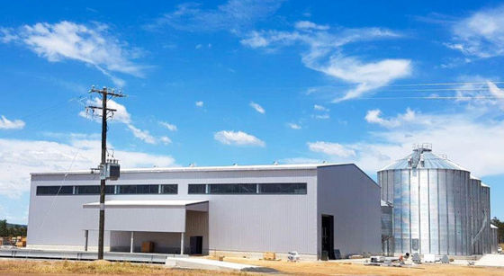 Armazém de armazenamento pre projetado da grão da construção de aço da construção de aço