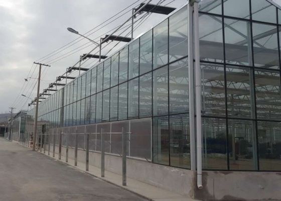 Anúncio publicitário de vidro galvanizado nível superior da coberta da estufa da tubulação