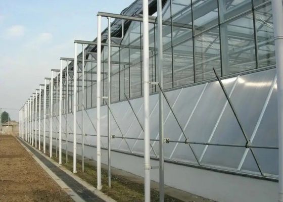 Anúncio publicitário de vidro galvanizado nível superior da coberta da estufa da tubulação