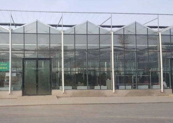 Anúncio publicitário galvanizado da tubulação de Venlo do nível superior estufa de vidro
