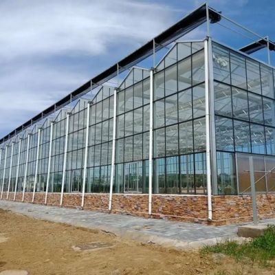 Plantação Multilayer da estufa de vidro Soilless vegetal da cultura do cultivo