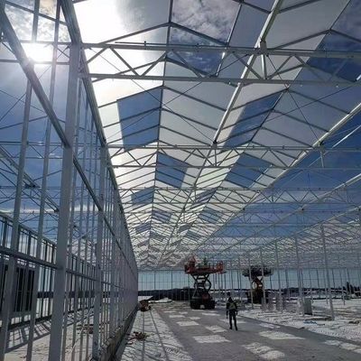 Plantação Multilayer da estufa de vidro Soilless vegetal da cultura do cultivo
