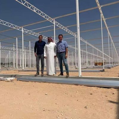 Plantação Multilayer da estufa de vidro Soilless vegetal da cultura do cultivo