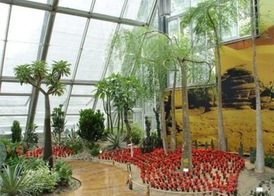 Jardim de inverno sala de luz solar pequena estufa de aço venlo de vidro descontraída