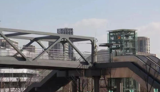 A viga de ponte personalizada da construção de aço pré-fabricou à prova de fogo