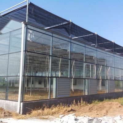 Estufas de vidro para plantação de vegetais de alto rendimento para tomate / pepino
