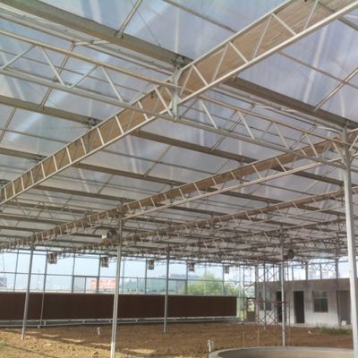 Estufas de vidro para plantação de vegetais de alto rendimento para tomate / pepino