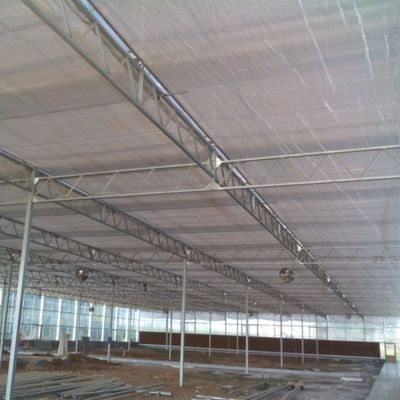 Estufas de vidro para plantação de vegetais de alto rendimento para tomate / pepino