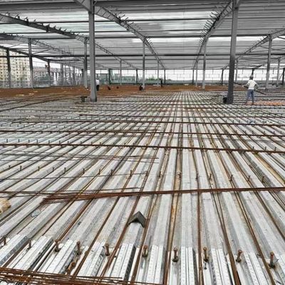 Construção de aço de Q355B para o armazenamento da construção da oficina do armazém