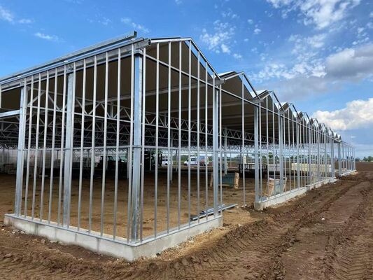 Estufa de Vidro Panorâmica Venluo - Estufa de Cultivo de Vegetais em Larga Escala