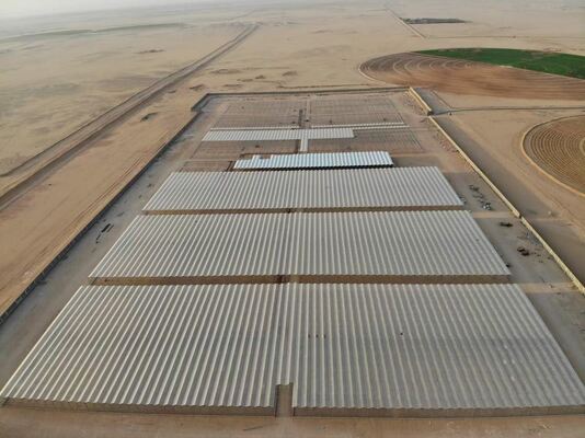 Uso para plantio agrícola, estufa de vidro panorâmica Wannuo