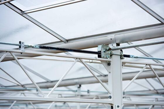 Uso para plantio agrícola, estufa de vidro panorâmica Wannuo