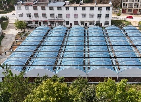 Uma estufa de película de polietileno de envergadura contínua utilizada para aumentar o rendimento dos vegetais e acelerar o processo de maturação dos vegetais