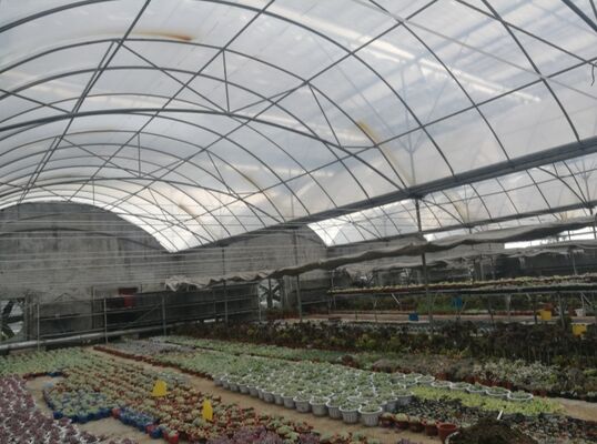 Uma estufa de película de polietileno de envergadura contínua utilizada para aumentar o rendimento dos vegetais e acelerar o processo de maturação dos vegetais