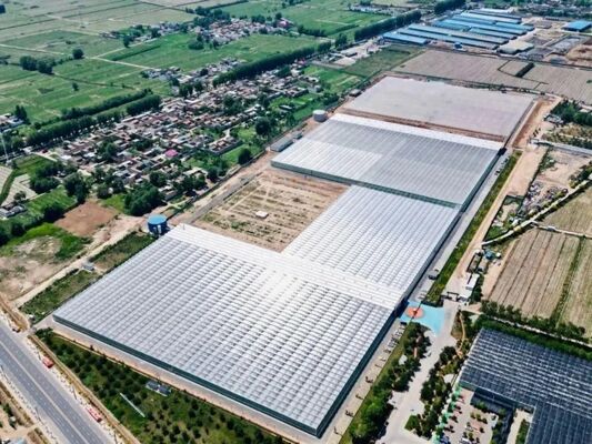 Estufas para o cultivo de frutas, estufas de vidro para visitas turísticas