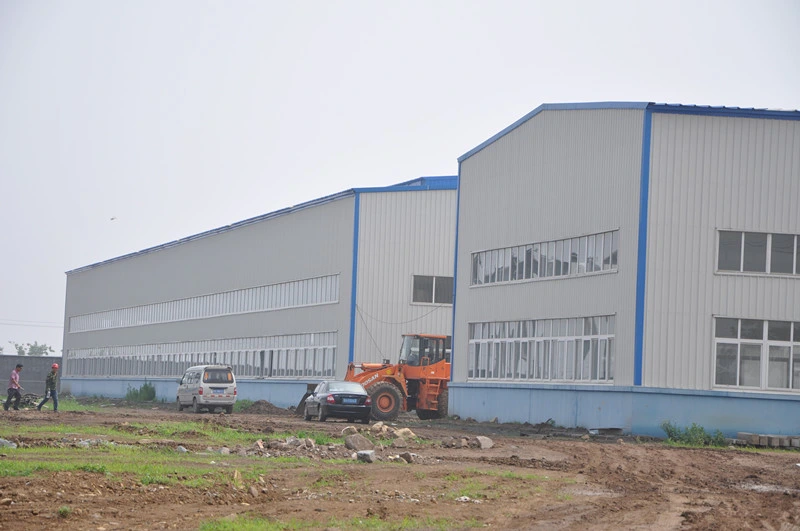Dimensão personalizada oficina da construção da construção de aço da seção de H 2